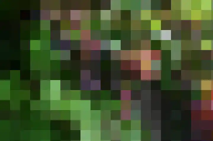 Groene Loper 66 Bleiswijk thumbnail 56
