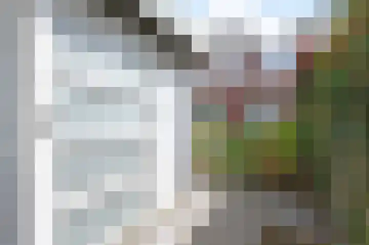 Groene Loper 66 Bleiswijk thumbnail 57