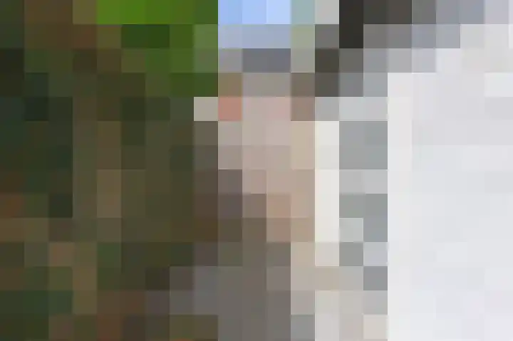 Groene Loper 66 Bleiswijk thumbnail 58