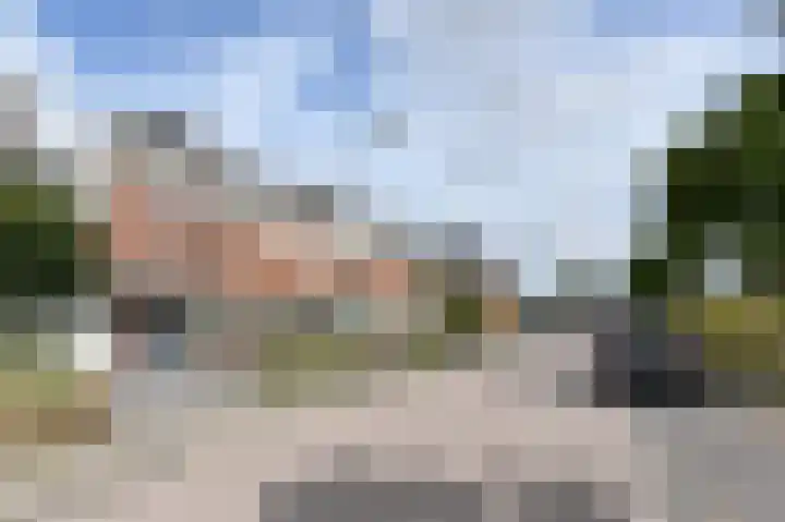 Groene Loper 66 Bleiswijk thumbnail 60