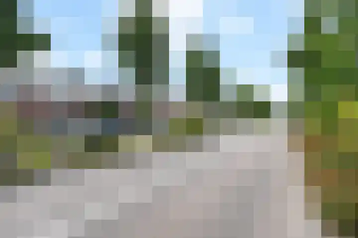 Groene Loper 66 Bleiswijk thumbnail 61