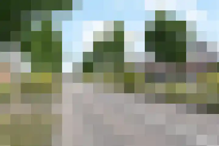 Groene Loper 66 Bleiswijk thumbnail 62