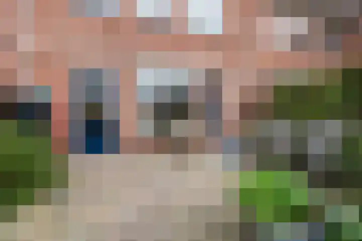 Groene Ree 39 Bodegraven thumbnail 41