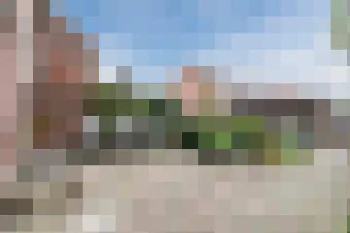 Groene Ree 39 Bodegraven thumbnail 42
