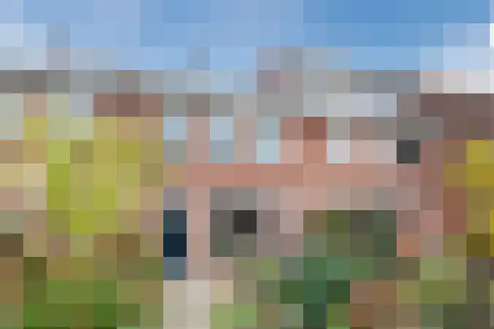 Groene Ree 39 Bodegraven thumbnail 43