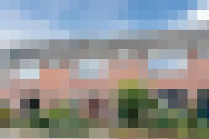 Groene Ree 39 Bodegraven thumbnail 45