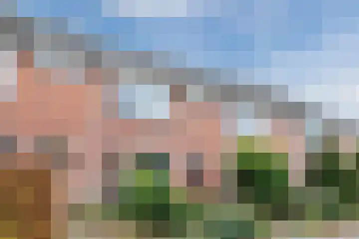Groene Ree 39 Bodegraven thumbnail 46