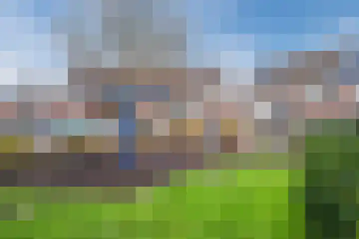 Groene Ree 39 Bodegraven thumbnail 47