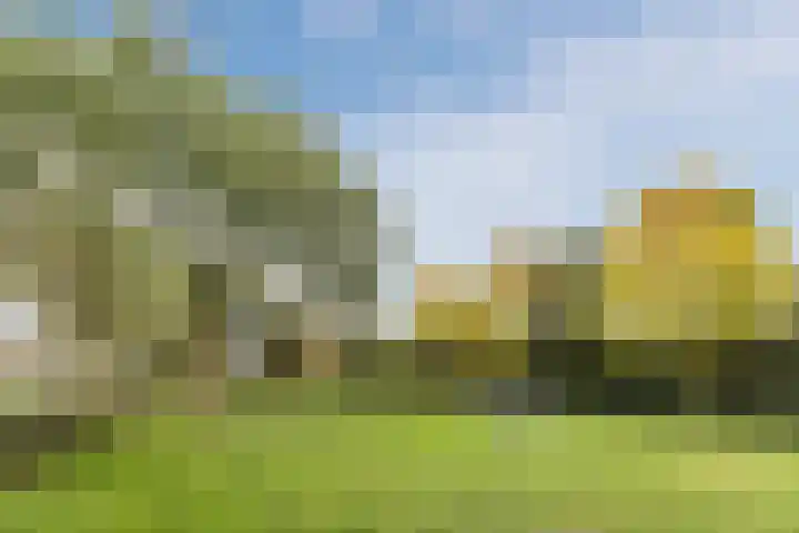 Groene Ree 39 Bodegraven thumbnail 48