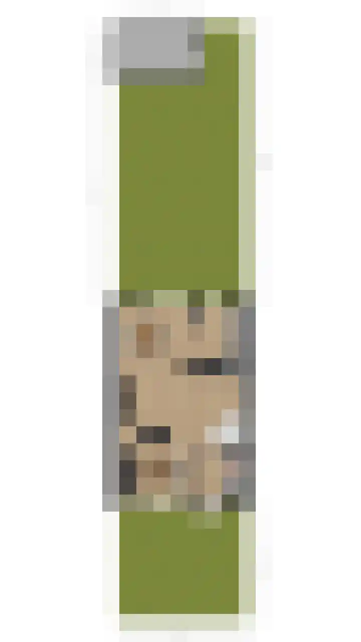 Groene Ree 39 Bodegraven thumbnail 55