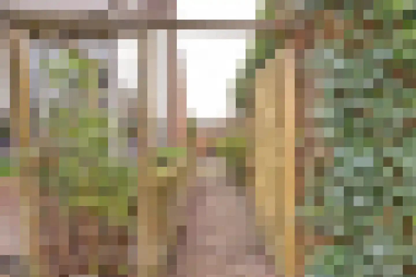 Groene Ree 7 Bodegraven thumbnail 13