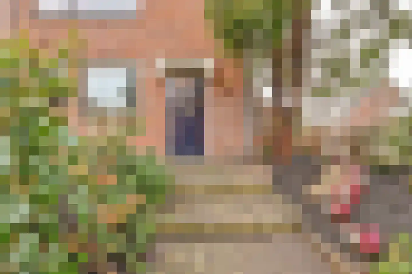 Groene Ree 7 Bodegraven thumbnail 15