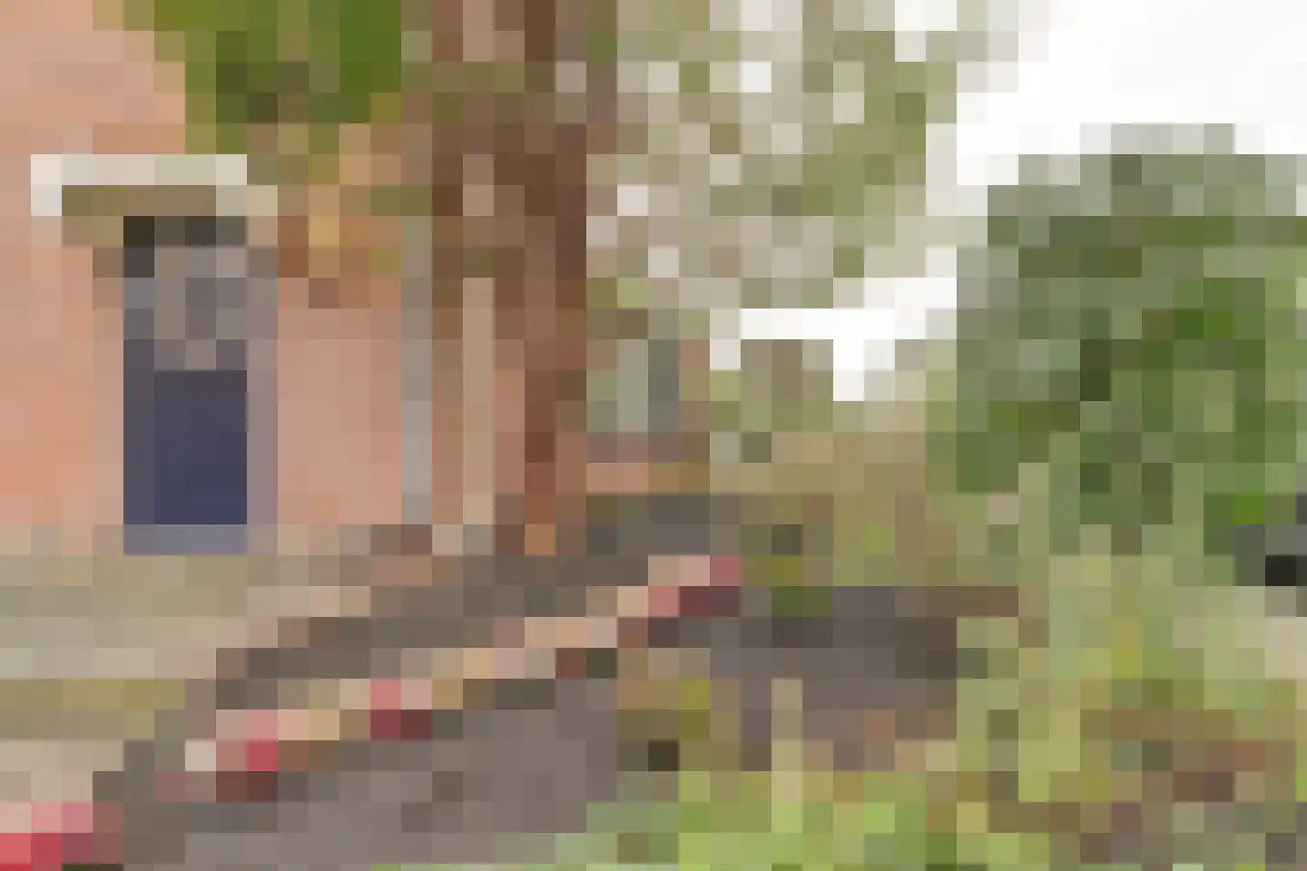 Groene Ree 7 Bodegraven thumbnail 16