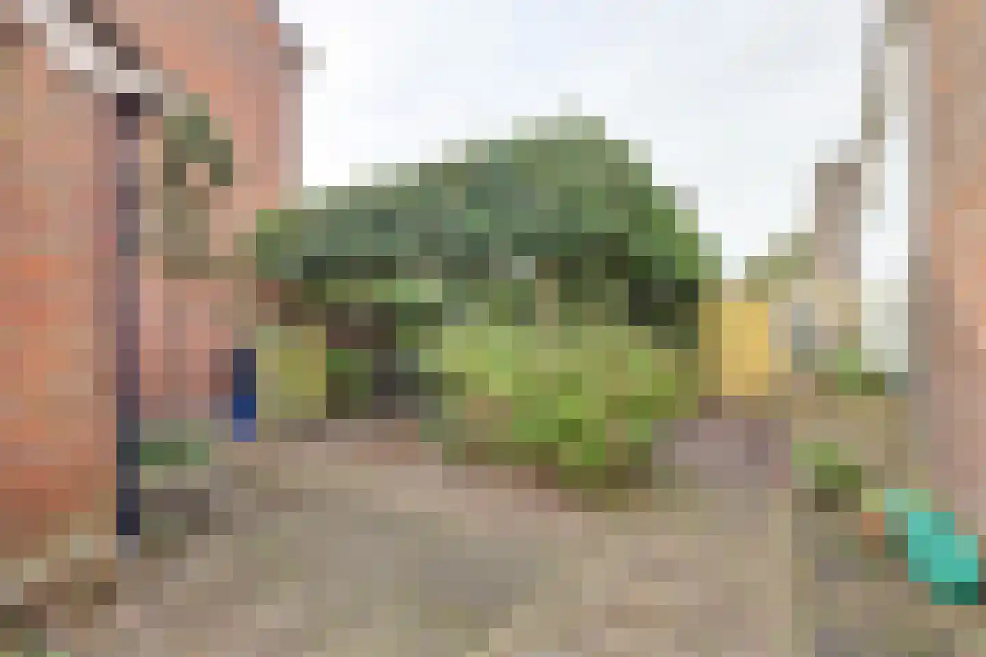 Groene Ree 7 Bodegraven thumbnail 28