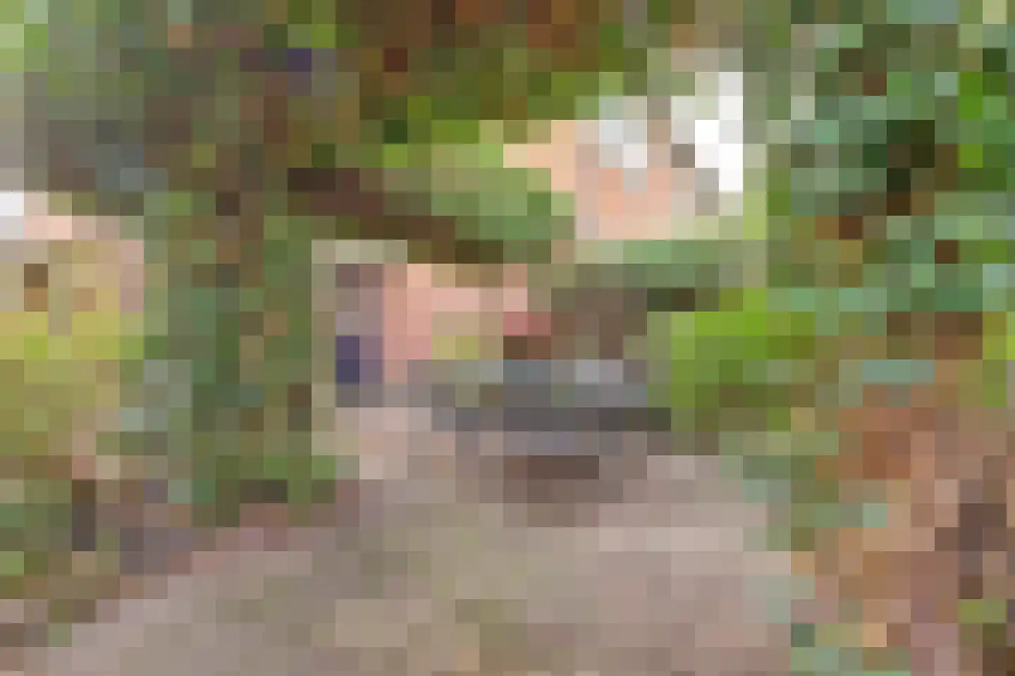 Groene Ree 7 Bodegraven thumbnail 29
