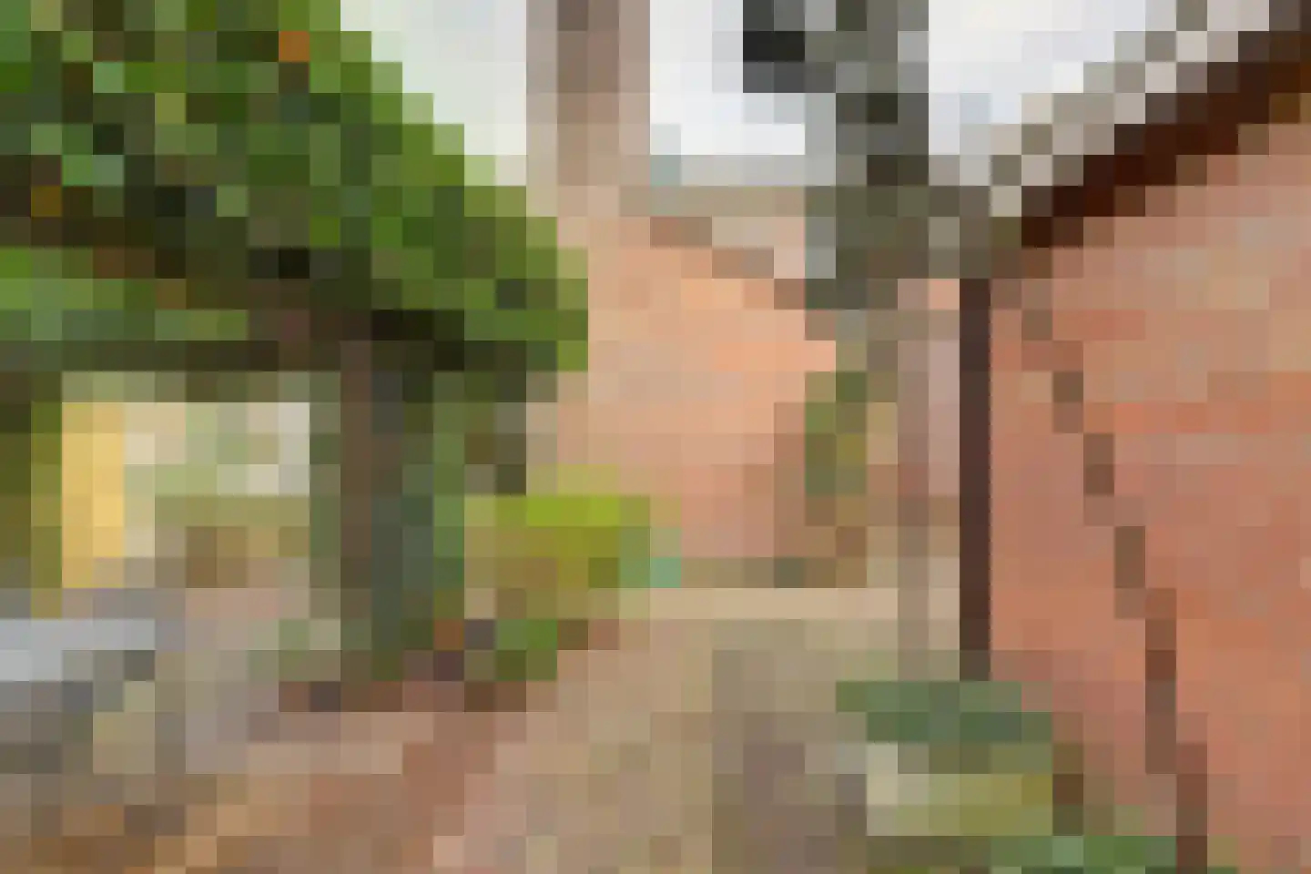 Groene Ree 7 Bodegraven thumbnail 30