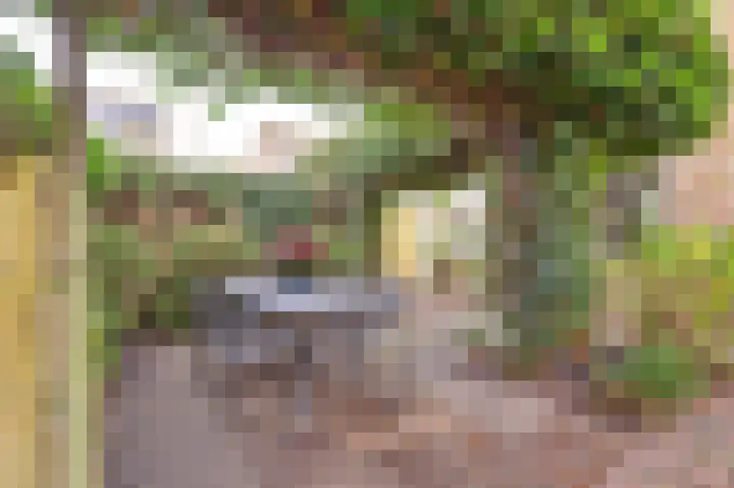 Groene Ree 7 Bodegraven thumbnail 4
