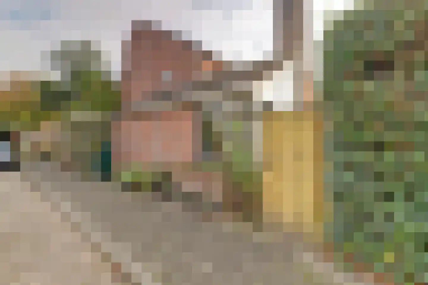 Groene Ree 7 Bodegraven thumbnail 44