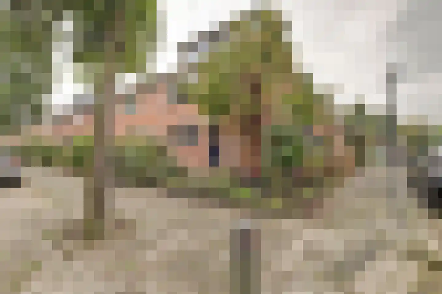 Groene Ree 7 Bodegraven thumbnail 45