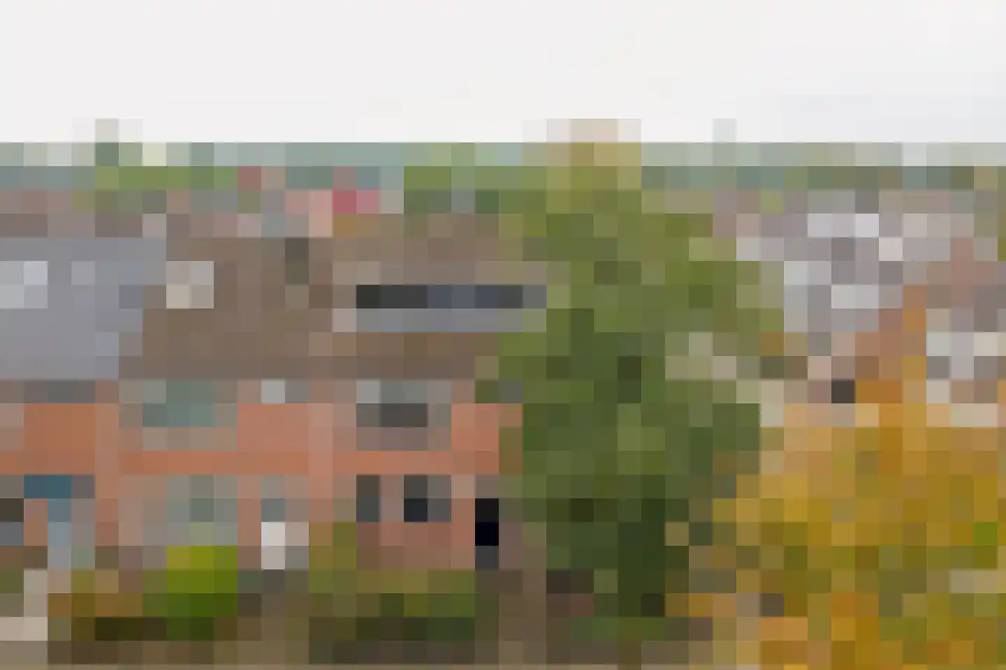 Groene Ree 7 Bodegraven thumbnail 46