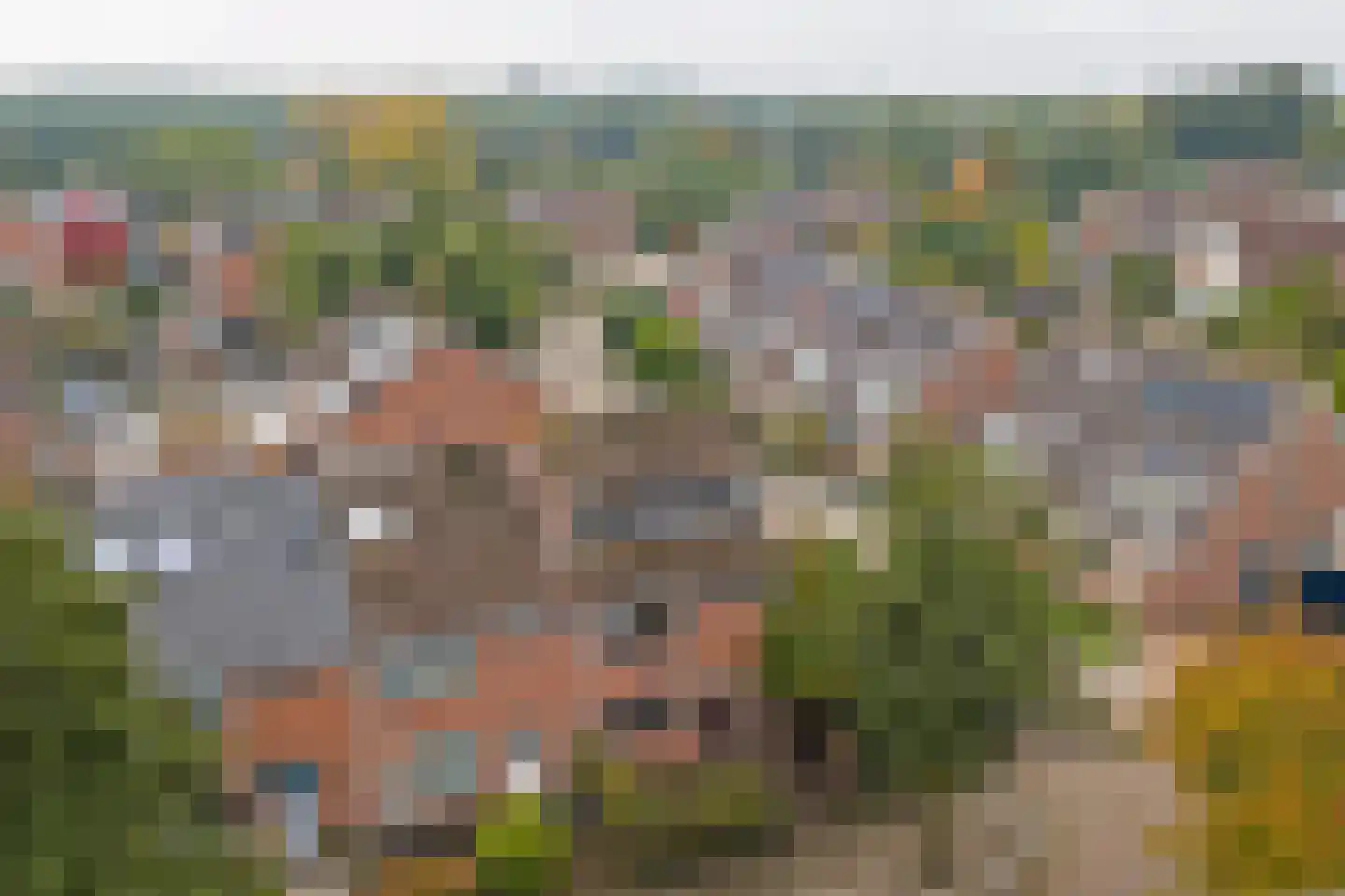 Groene Ree 7 Bodegraven thumbnail 47