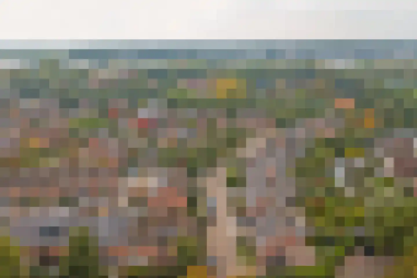 Groene Ree 7 Bodegraven thumbnail 48