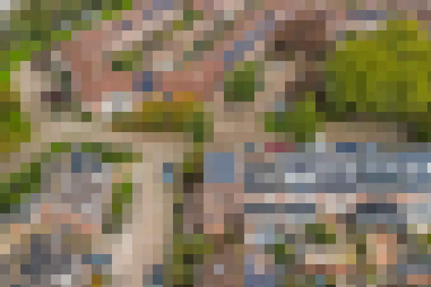 Groene Ree 7 Bodegraven thumbnail 49