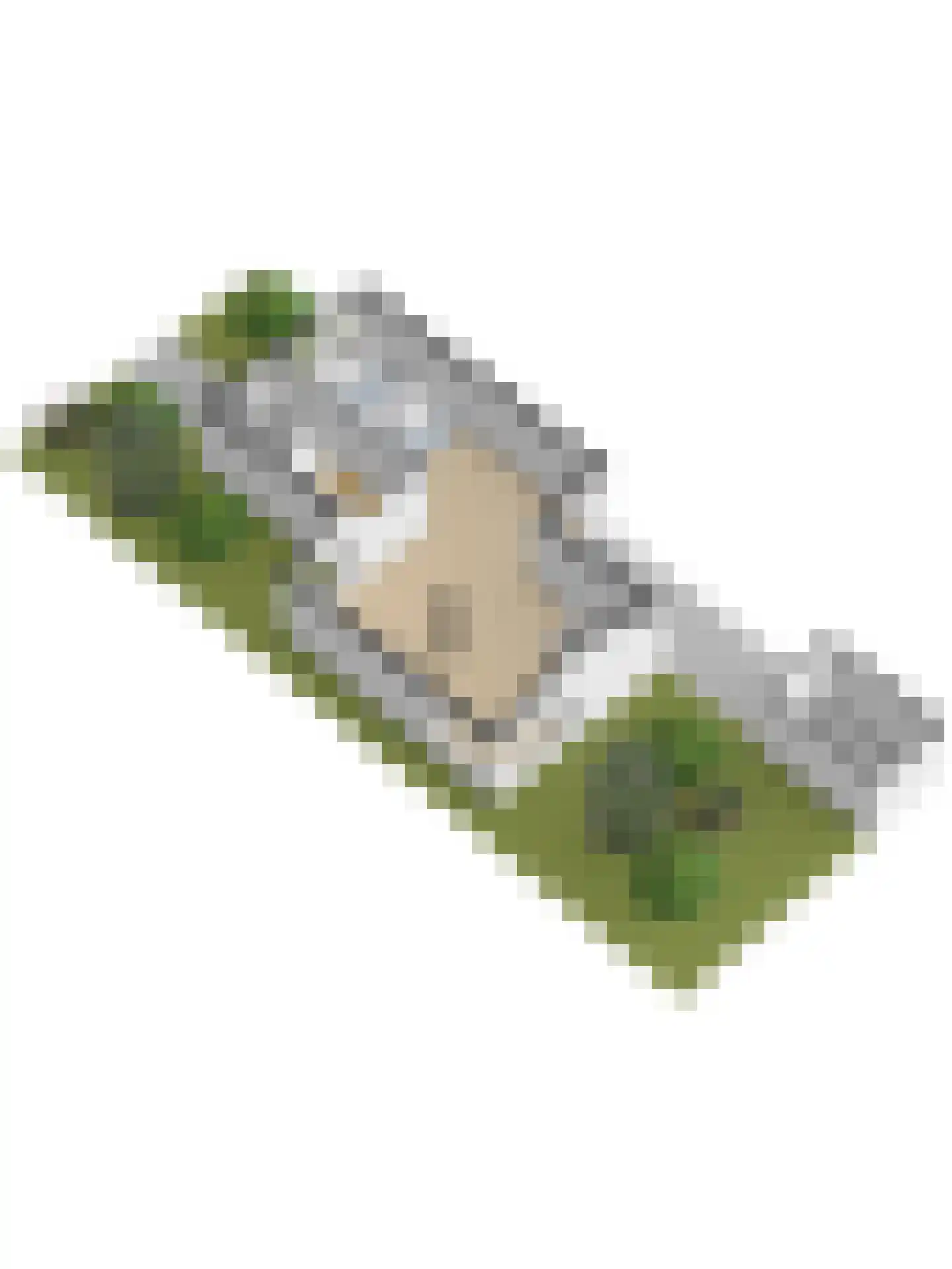Groene Ree 7 Bodegraven thumbnail 55