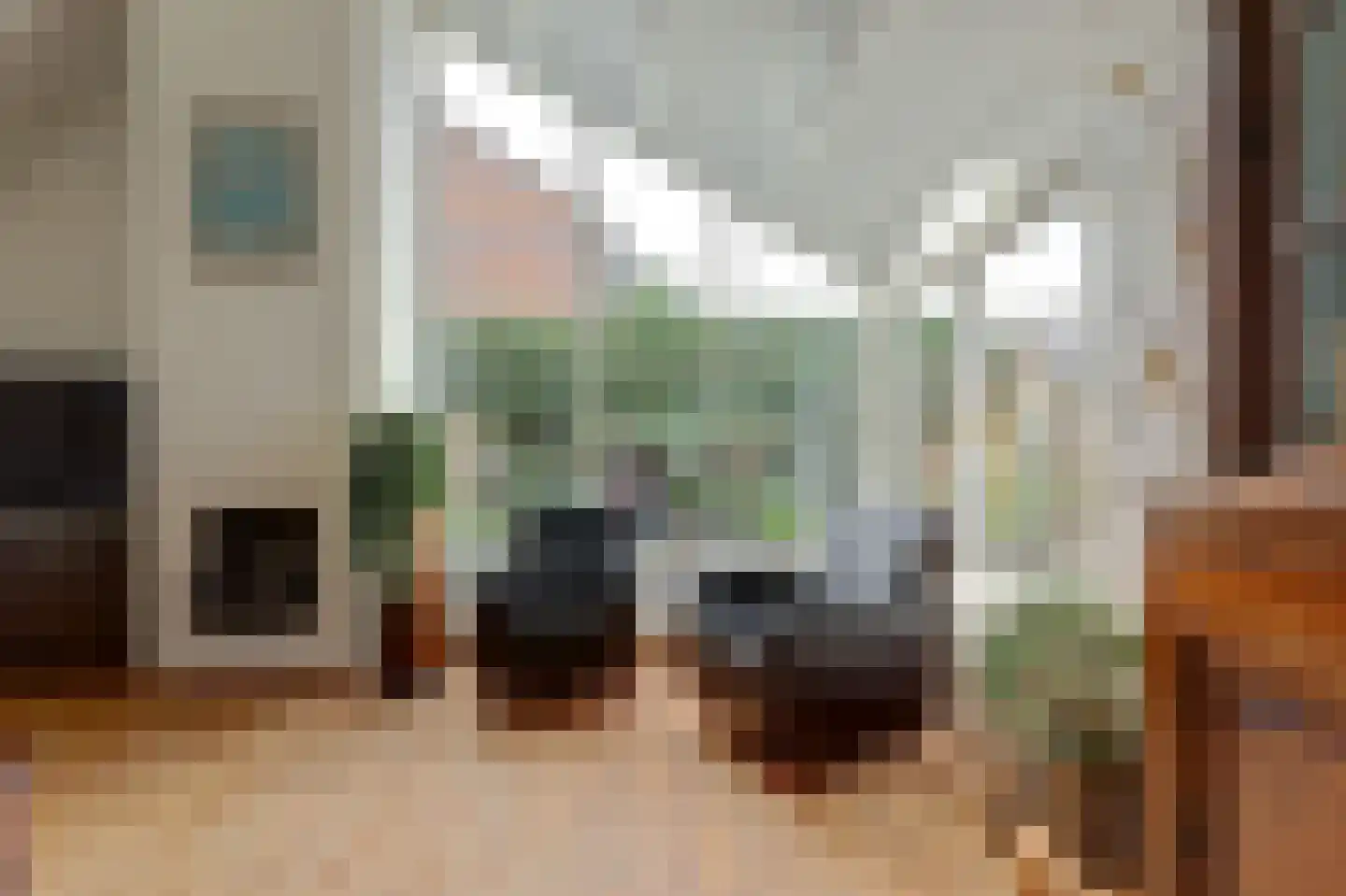 Groene Ree 7 Bodegraven thumbnail 6