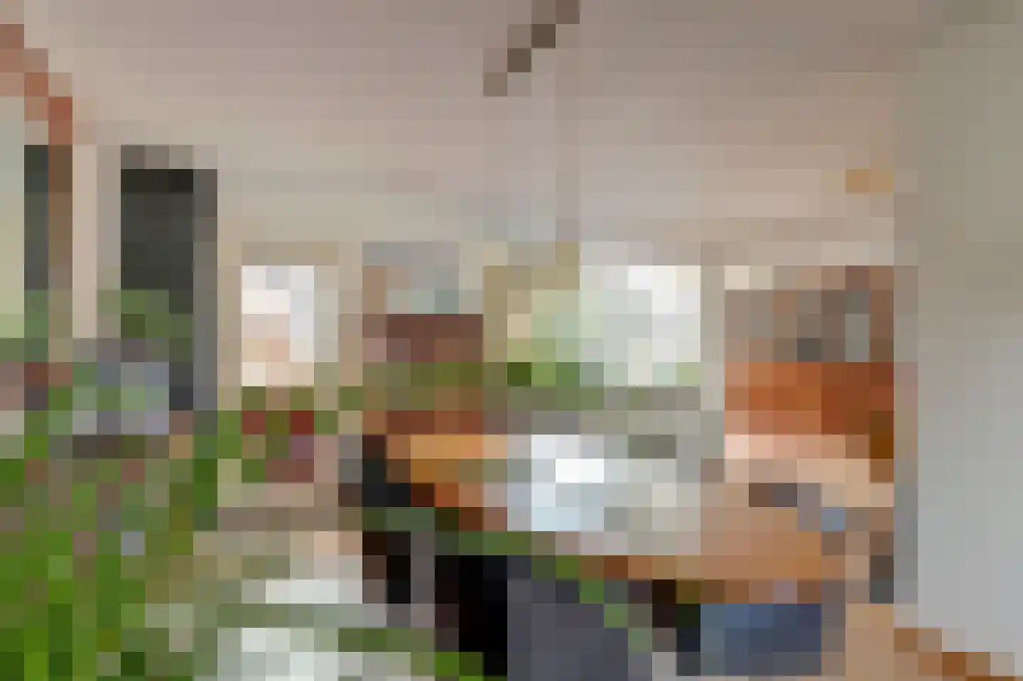 Groene Ree 7 Bodegraven thumbnail 8