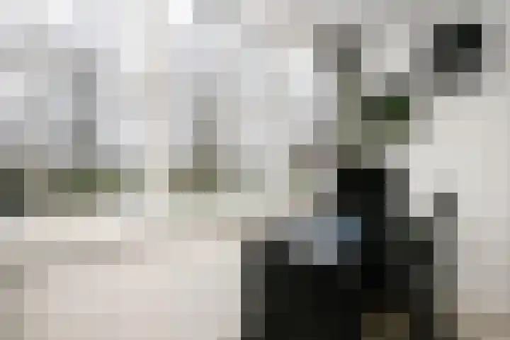 Groene Singel 1 Schoonhoven thumbnail 23