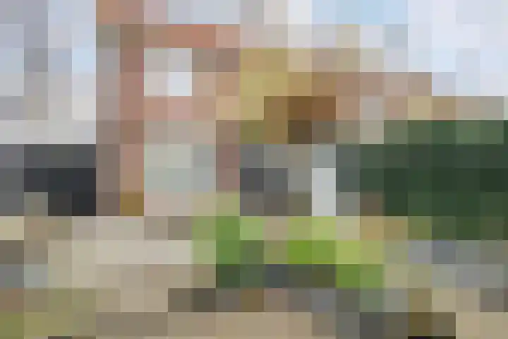 Groene Singel 1 Schoonhoven thumbnail 27