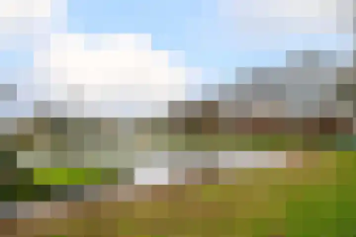 Groene Singel 1 Schoonhoven thumbnail 31