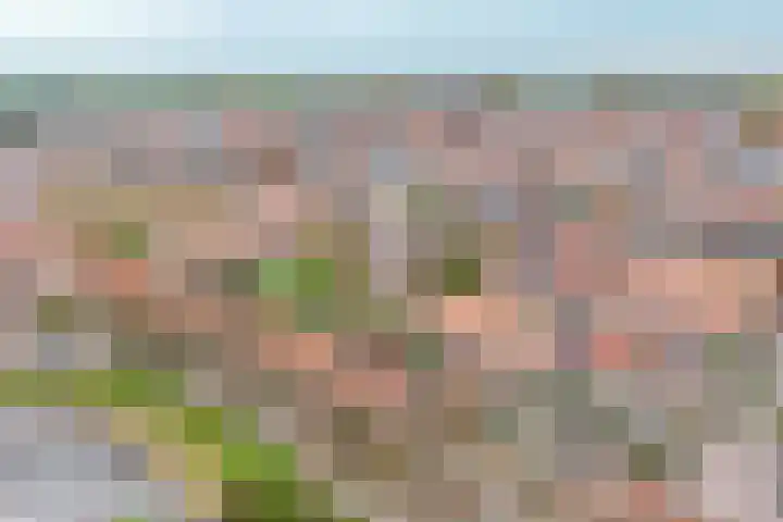 Groene Singel 1 Schoonhoven thumbnail 35