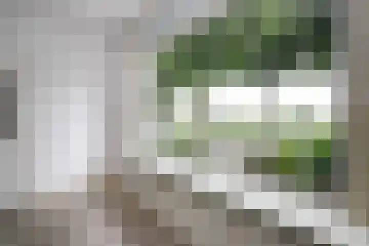Groene Singel 15 Schoonhoven thumbnail 10