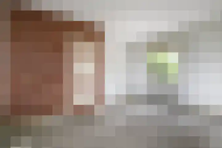 Groene Singel 15 Schoonhoven thumbnail 12