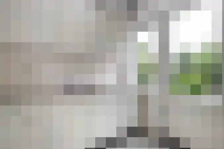 Groene Singel 15 Schoonhoven thumbnail 13