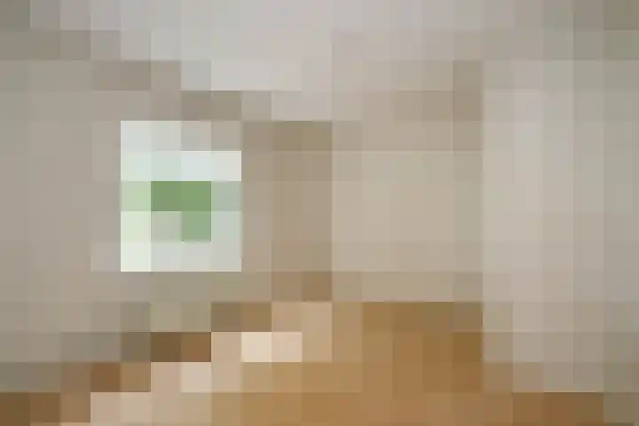 Groene Singel 15 Schoonhoven thumbnail 16