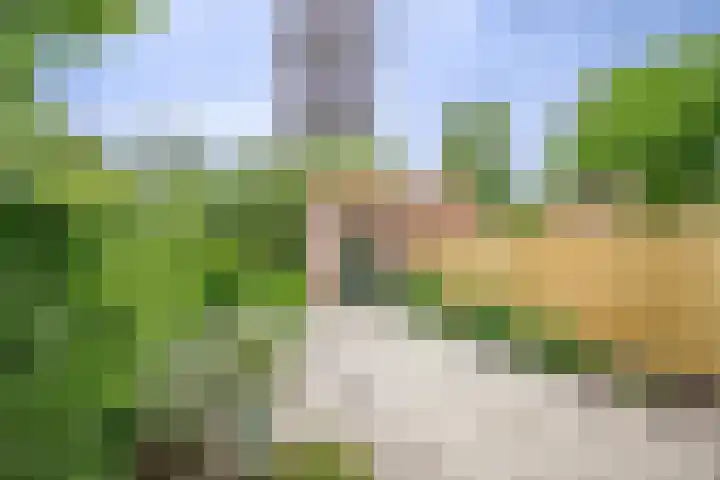 Groene Singel 15 Schoonhoven thumbnail 21
