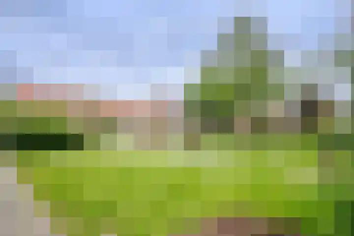 Groene Singel 15 Schoonhoven thumbnail 23
