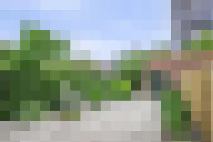 Groene Singel 15 Schoonhoven thumbnail 4