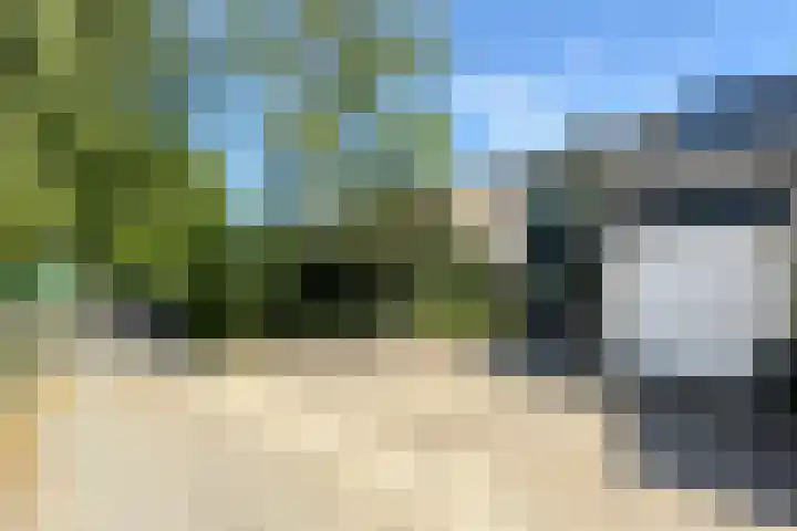 Groene Slinger 25 Standdaarbuiten thumbnail 58