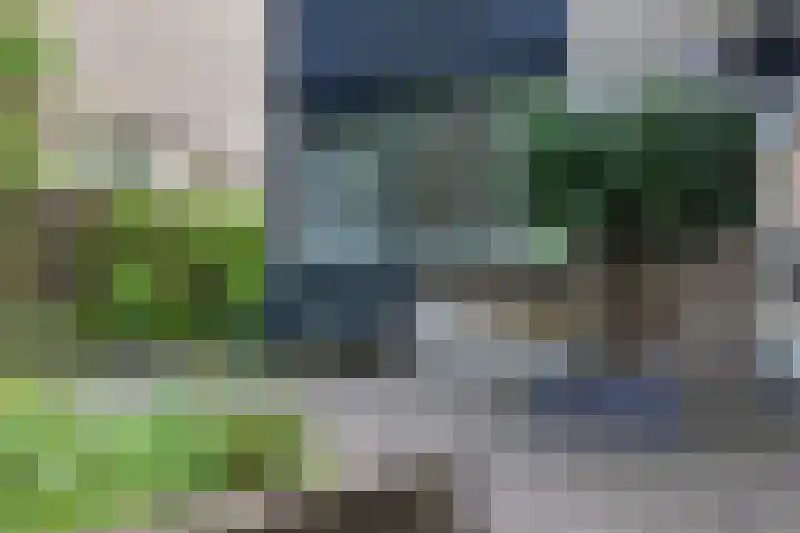 Groene Slinger 25 Standdaarbuiten thumbnail 60