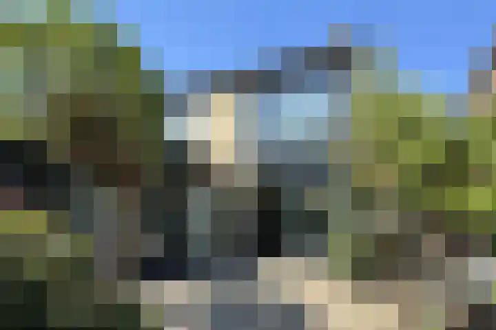 Groene Slinger 25 Standdaarbuiten thumbnail 61