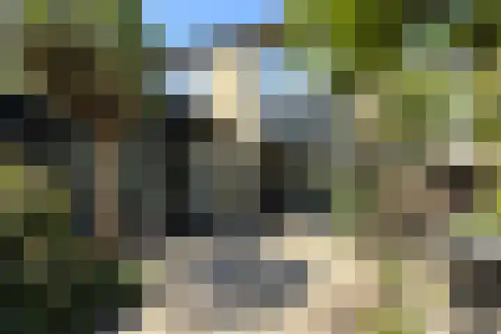 Groene Slinger 25 Standdaarbuiten thumbnail 62