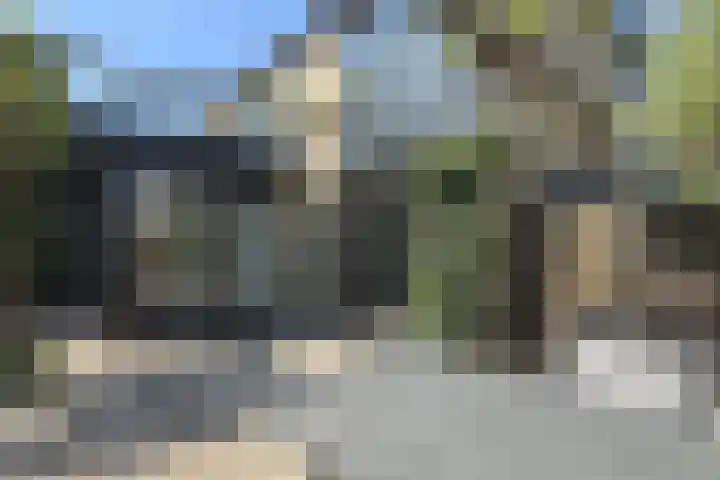 Groene Slinger 25 Standdaarbuiten thumbnail 63