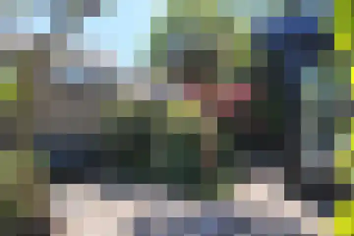 Groene Slinger 25 Standdaarbuiten thumbnail 64