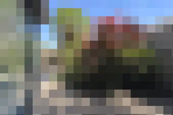 Groene Slinger 25 Standdaarbuiten thumbnail 65