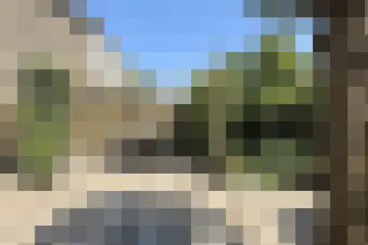 Groene Slinger 25 Standdaarbuiten thumbnail 66