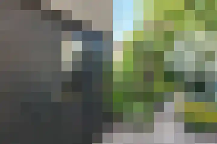 Groene Slinger 25 Standdaarbuiten thumbnail 68